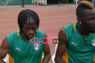 Mondial 2014 : 365 millions de prime pour les éléphants  en cas de qualification !